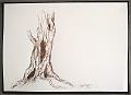 brou de noix_0004